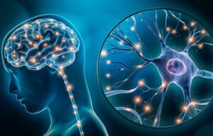 Neurodegenerative Diseases