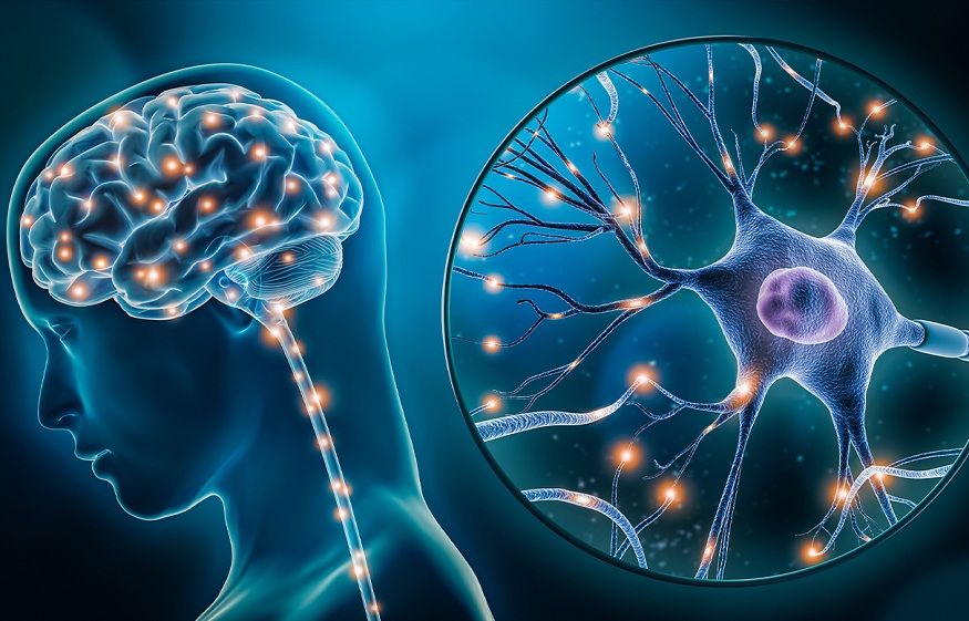 Neurodegenerative Diseases